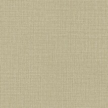 ブラウン  塗り壁調 クリーンコート  表面強化 防かび  リリカラ LV2523 旧品番LV3482