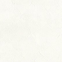 ホワイト  塗り壁調   汚れ防止 消臭 抗菌 防かび  リリカラ LV2536 旧品番LV3495