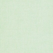 グリーン  織物調   消臭 抗菌 防かび  リリカラ LV2624 旧品番LV3583