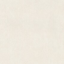 アイボリー  塗り壁調 トップコート  抗菌 表面強化 防かび  リリカラ LW-1009 