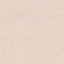 ベージュ  塗り壁調 トップコート  抗菌 表面強化 防かび  リリカラ LW-1075 