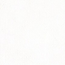 ホワイト  塗り壁調 トップコート  防かび 抗菌 表面強化 消臭  リリカラ LW-1201 