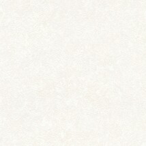 シャドーホワイト  塗り壁調   汚れ防止 抗菌 表面強化 防かび  リリカラ LW-1427 