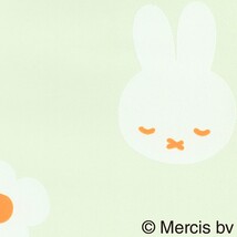 グリーン  キャラクター＆イラスト   防かび  リリカラ LW-1724 