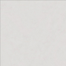 ホワイト ストーンタイル  東リ PST3156 旧品番PST2160