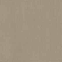 ライトブラウン ストーンタイル  東リ PST4161 