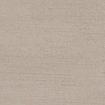 ベージュ 塗り壁調  防かび 抗菌 表面強化 撥水  サンゲツ RE55010 