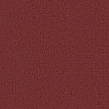レッド 塗り壁調  防かび 抗菌 撥水  サンゲツ RE55053 