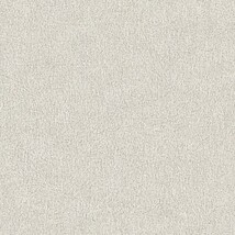 ライトグレー 塗り壁調  防かび 抗菌  サンゲツ RE55096 