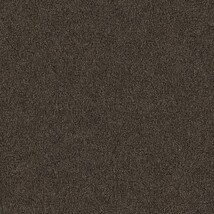 スモークブラック 塗り壁調  防かび 抗菌  サンゲツ RE55100 