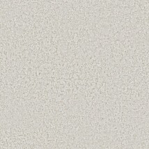 ライトグレー ストーン  防かび 抗菌 表面強化 撥水  サンゲツ RE55222 