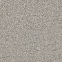 グレー ストーン  防かび 抗菌 表面強化 撥水  サンゲツ RE55224 