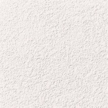 ライトアイボリー 塗り壁調  防かび 抗菌 表面強化 撥水 消臭  サンゲツ RE55242 旧品番RE53651