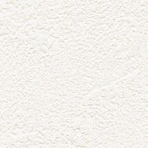 ライトアイボリー 塗り壁調  防かび 抗菌 表面強化 撥水 消臭  サンゲツ RE55246 旧品番RE53653
