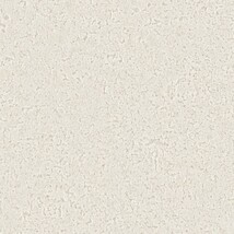 アイボリー 塗り壁調 ウレタンコート 防かび 抗菌 表面強化 撥水  サンゲツ RE55292 