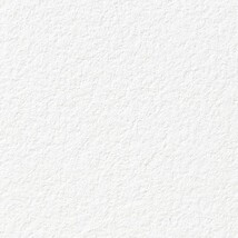 ライトアイボリー 塗り壁調  抗アレルギー 防かび  サンゲツ RE55361 旧品番RE53823