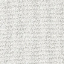 シャドーホワイト 織物調  抗アレルギー 防かび  サンゲツ RE55366 旧品番RE53816