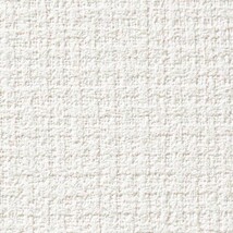 シャドーホワイト 織物調  汚れ防止 抗菌 防かび  サンゲツ RE55443 旧品番RE53709