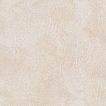 アイボリー 塗り壁調  汚れ防止 抗菌 防かび  サンゲツ RE55498 