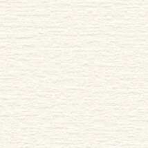 ライトアイボリー 塗り壁調  調湿効果 防かび  サンゲツ RE55544 旧品番RE53843