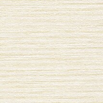 ベージュ 織物調  消臭 抗菌 防かび  サンゲツ RE55699 旧品番RE53171