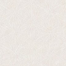 ライトアイボリー 抽象デザイン  防かび 抗菌 撥水  サンゲツ RE55709 
