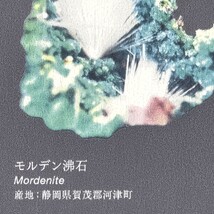 ダークグレー キャラクター＆イラスト  防かび  サンゲツ RE55944 