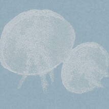 ライトブルー キャラクター＆イラスト  防かび  サンゲツ RE55955 