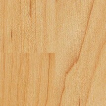 ブラウン ノンワックスコーティング+衝撃吸収＋抗菌+抗ウイルス+消臭 サンゲツ SK-22058 旧品番SK-20061
