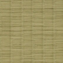 グリーン 衝撃吸収+抗菌 サンゲツ SK-22083 旧品番SK-20094