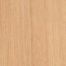 ブラウン ノンワックスコーティング+衝撃吸収＋抗菌+抗ウイルス+消臭 サンゲツ SKC-2441 