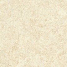 ベージュ ノンワックスコーティング+衝撃吸収＋抗菌+抗ウイルス+消臭 サンゲツ SKC-2447 旧品番SK-22068