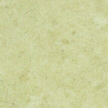 グリーン ノンワックスコーティング+衝撃吸収＋抗菌+抗ウイルス+消臭 サンゲツ SKC-2451 旧品番SK-22072