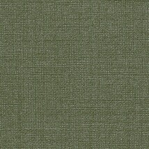 グリーン 織物調  防かび 抗菌 撥水  サンゲツ TH34043