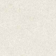 ベージュ 塗り壁調 ウレタンコート 防かび 抗菌 表面強化 撥水  サンゲツ TH34100
