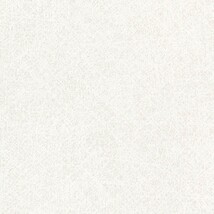 シャドーホワイト 織物調  防かび 抗菌 表面強化 撥水 消臭  サンゲツ TH34281