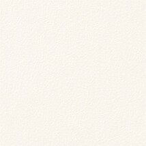 ホワイト 塗り壁調  抗菌 表面強化 防かび  サンゲツ TH34303