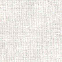 ホワイト 織物調  防かび 抗菌  サンゲツ TH34364