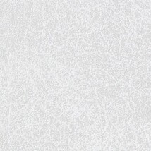ライトグレー 塗り壁調  防かび  サンゲツ TH34615