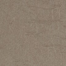 ダークグレー 塗り壁調 ウレタンコート 防かび 抗菌 表面強化 撥水  サンゲツ TH34803