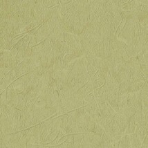 グリーン 塗り壁調 ウレタンコート 抗菌 表面強化 防かび  サンゲツ TH34813