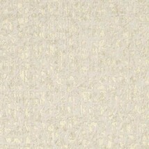アイボリー 塗り壁調  防かび  サンゲツ TH34829
