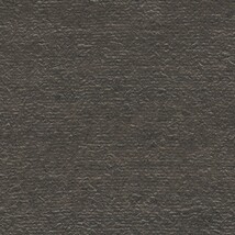  ダークグレー  防かび  トキワ TWP9279 旧品番TWP1256