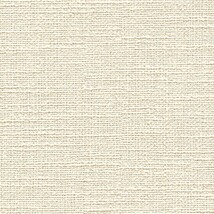  アイボリー 耐クラック 防かび 抗菌 表面強化 消臭  トキワ TWP9364 旧品番TWP1465