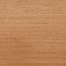 ブラウン ウッド・他 サンゲツ WD2094 旧品番WD1067