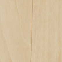 ベージュ 抗菌 サンゲツ XM-12233 旧品番XM-11210