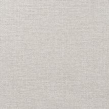 ライトグレー 織物調 防かび 抗菌 表面強化 撥水 消臭   ルノン C22-2007