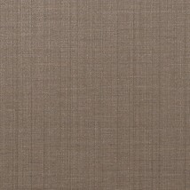 ライトブラウン 織物調 防かび 抗菌 表面強化 撥水 消臭   ルノン C22-2035