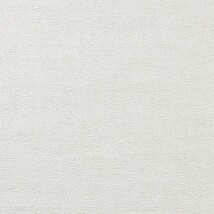 ライトアイボリー 織物調 消臭 防かび   ルノン C22-2083