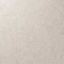 ベージュ 塗り壁調 防かび　表面強化　消臭   ルノン C22-2140
